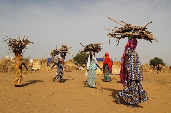 Women carry fire woods at the Boudouri site for displaced persons outside the town of Diffa in southeastern Niger June 21, 2016. Picture taken June 21, 2016. REUTERS/Luc Gnago
