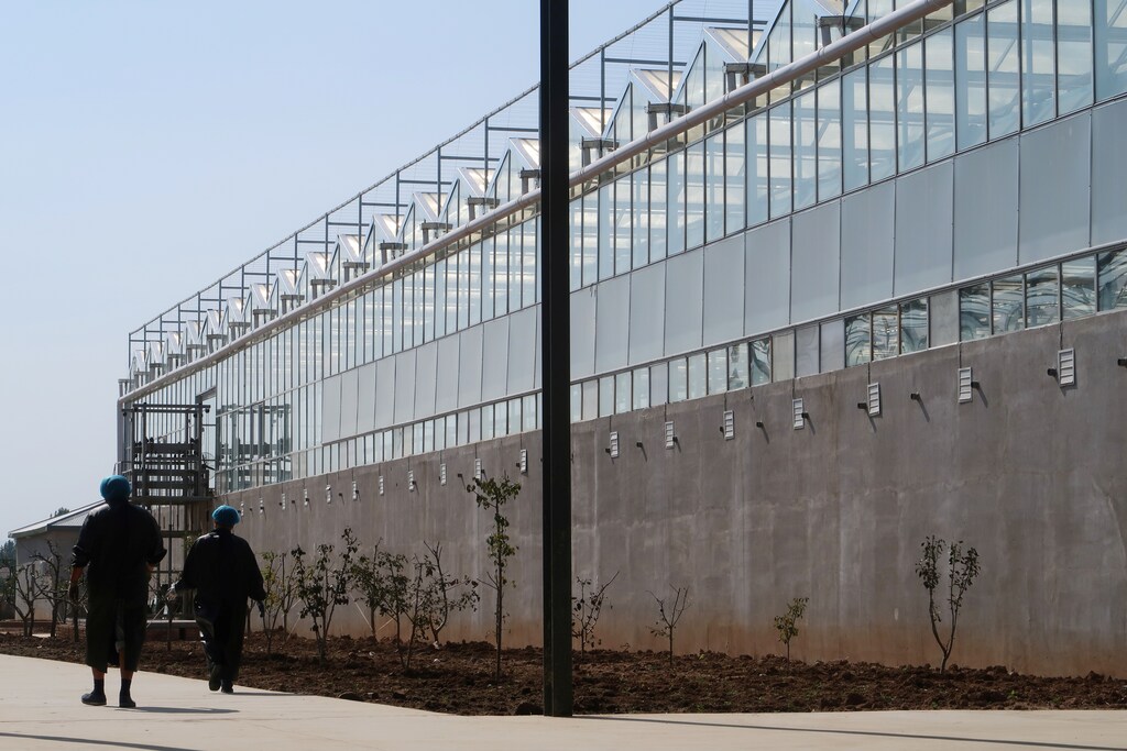 Workers walk at a waste processing facility of Shandong Qiaobin Agriculture Technology on the outskirts of Jinan, Shandong province, China October 17, 2018. Picture taken October 17, 2018. REUTERS/Thomas Suen - RC1BDD653DD0