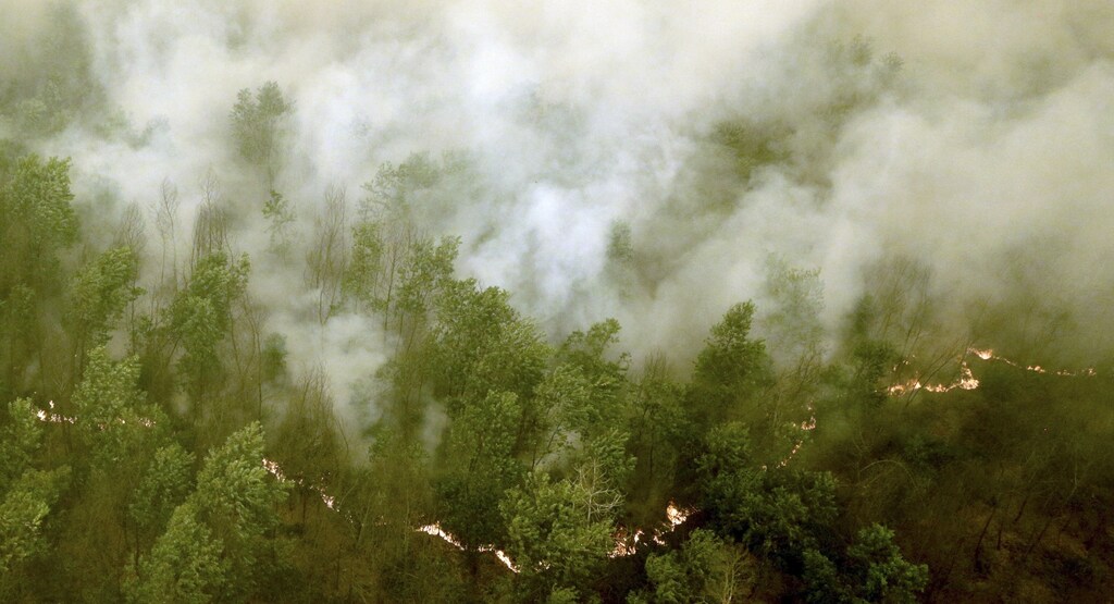 Thick smoke rises as a fire burns in a forest at Ogan Komering Ilir Regency, Indonesia's South Sumatra province October 20, 2015 in this picture taken by Antara Foto.