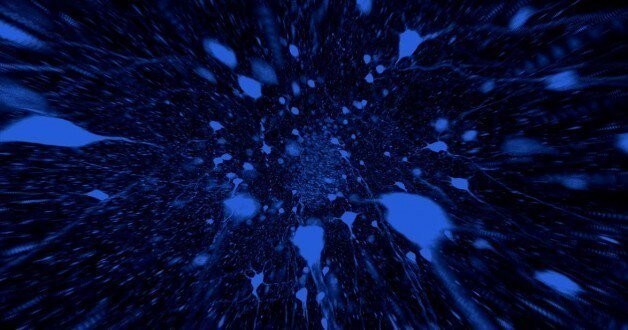 A 3-D visualization of fluorescently-labeled brain cells within an intact brain tissue.