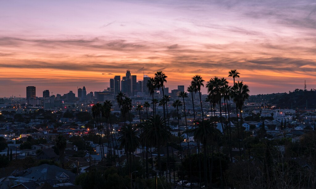 Urban forest carbon credits are becoming more common. In picture: Los Angeles, United States, with trees.