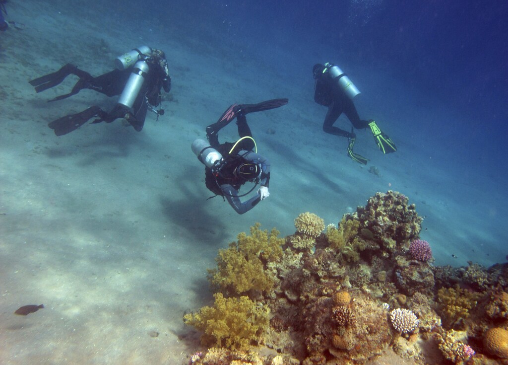 Divers look at coral reefs in the Red Sea resort of Dahab, Sinai, October 3, 2012. REUTERS/Asmaa Waguih (EGYPT - Tags: SOCIETY TRAVEL) - GM1E8A4038J01