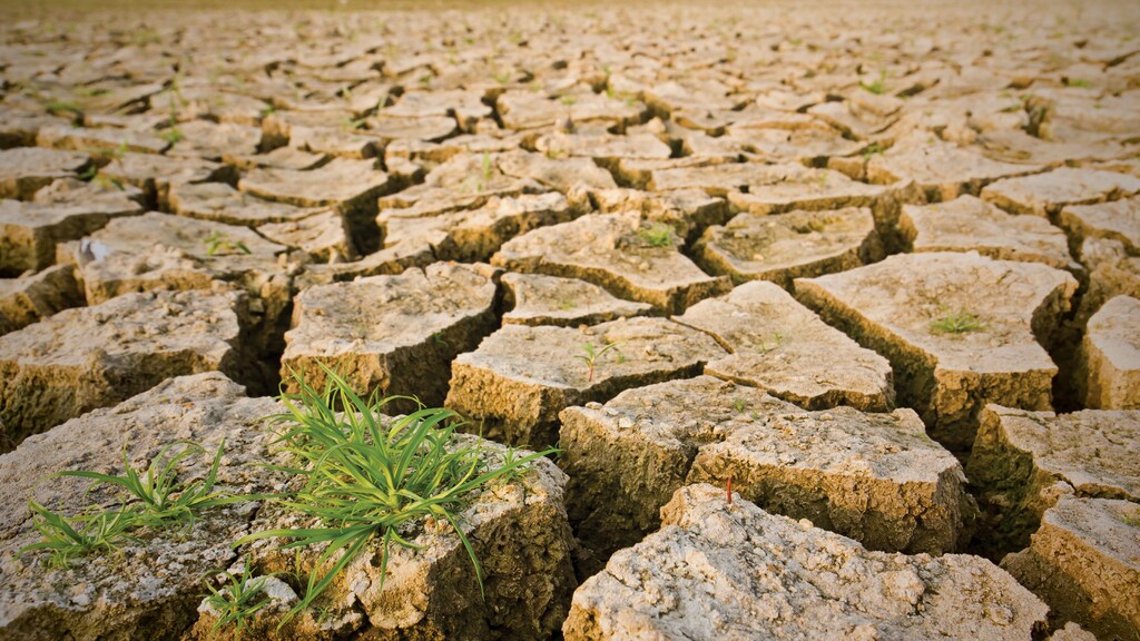 Climate-smart procurement can help to reduce carbon emissions.