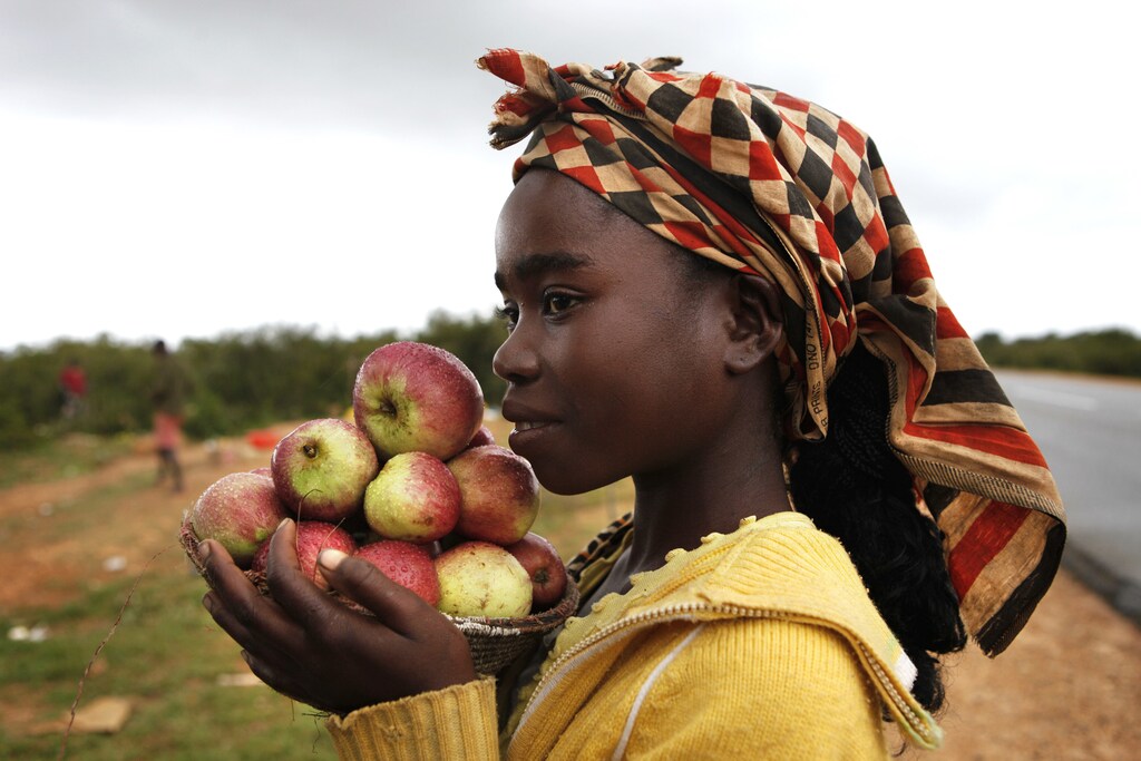 A girl selling apples by the roadside waits for customers just outside the Angolan city of Lubango, January 15, 2010. Lubango is hosting the African Cup of Nations Group D soccer matches. REUTERS/Finbarr O'Reilly (ANGOLA - Tags: SOCIETY IMAGES OF THE DAY) - RTR28WUB
