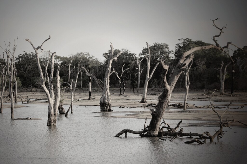 Flooding has affected food security for over 5.6 million people across Africa.