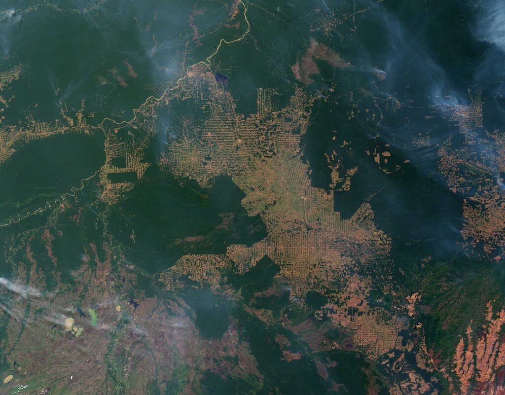 Vista por satélite de la selva amazónica tomada el 12 de agosto de 2007