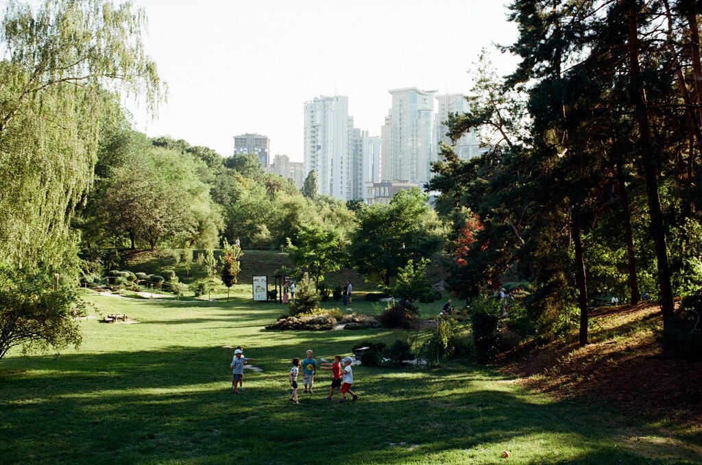 City park Urban forests cities environment air pollution mental health