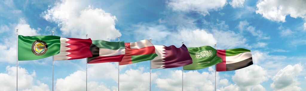 The Gulf Cooperation Council has made big strides in the development of its social infrastructure