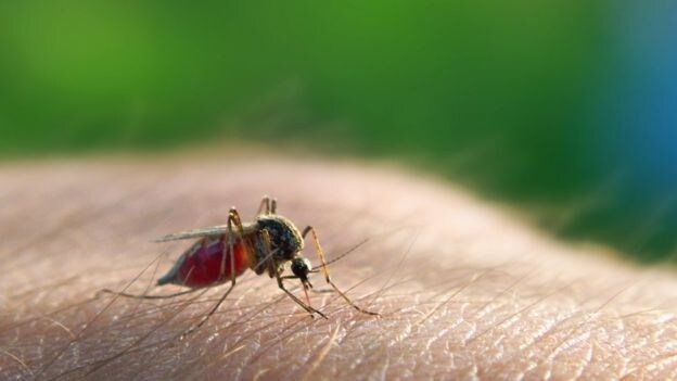 Si en zonas tropicales es casi imposible erradicar al mosquito transmisor debido a su sorprendente abundancia ¿Cual fue la estrategia que aplicó Sri Lanka?