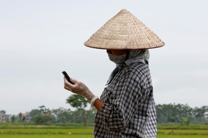 A farmer reads a message on a cell phone while working on a rice paddy field outside Hanoi, Vietnam July 3, 2017. REUTERS/Kham
