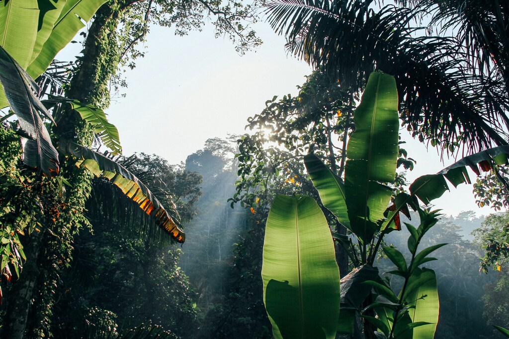 La importancia de la naturaleza es más evidente en Brasil que en ninguna otra parte.