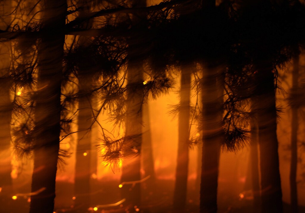 A fire rages in a pine wood forest near Bitola, 180 km (112 miles) south of Skopje, July 24, 2007.REUTERS/Ognen Teofilovski (MACEDONIA) - GM1DVTRMDAAA