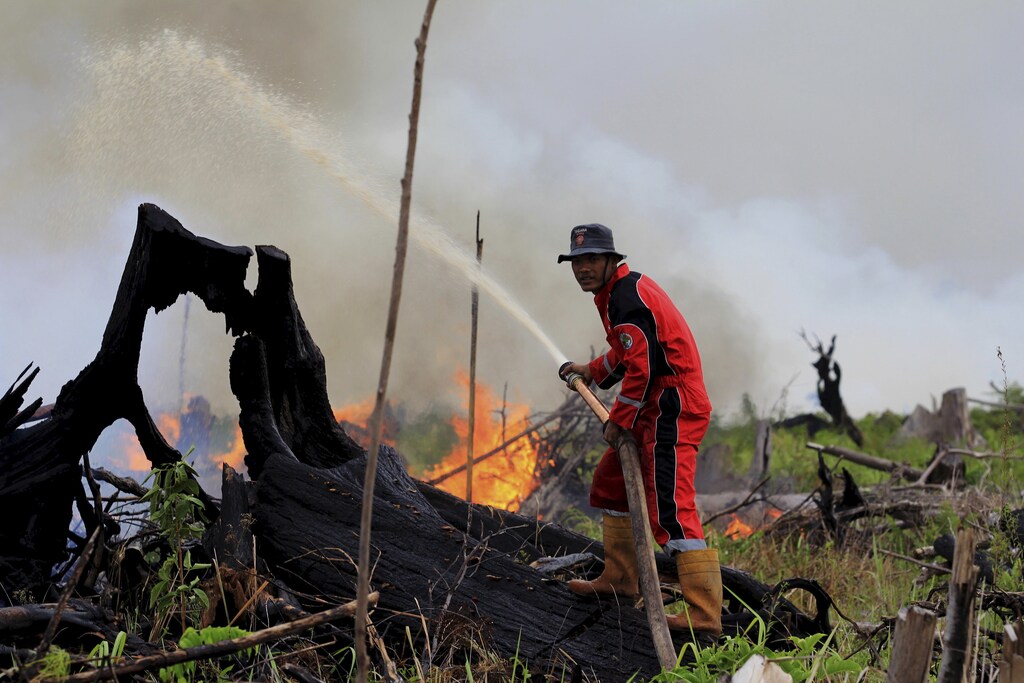 A fire fighter tries to put out a fire on land intended for a palm oil plantation in the village of Tanjung Palas, Dumai, Riau province, Sumatra, Indonesia in this photo taken by Antara Foto on March 5, 2016. Indonesia's western province of Riau has declared a state of emergency over forest and land fires blazing on the island of Sumatra, a government official said on Tuesday. Picture taken March 5, 2016.REUTERS/Aswaddy Hamid/Antara Foto ATTENTION EDITORS - THIS IMAGE HAS BEEN SUPPLIED BY A THIRD PARTY. IT IS DISTRIBUTED, EXACTLY AS RECEIVED BY REUTERS, AS A SERVICE TO CLIENTS. FOR EDITORIAL USE ONLY. NOT FOR SALE FOR MARKETING OR ADVERTISING CAMPAIGNS. MANDATORY CREDIT. INDONESIA OUT. NO COMMERCIAL OR EDITORIAL SALES IN INDONESIA. - GF10000337622