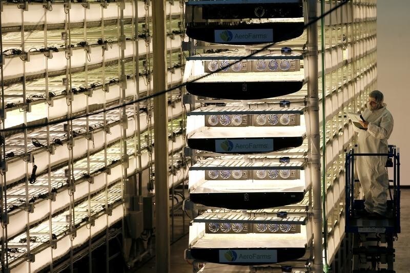 A worker inspects vertical farming beds growing a variety of baby greens beneath light emitting diode (or "LED") lamps and using a patented growing algorithm of controlled light, nutrients and temperatures at an AeroFarms Inc. indoor vertical farming facility in a former indoor paintball arena in Newark, New Jersey, June 24, 2016. Picture taken June 24, 2016. REUTERS/Mike Segar - S1AETMNOEIAA