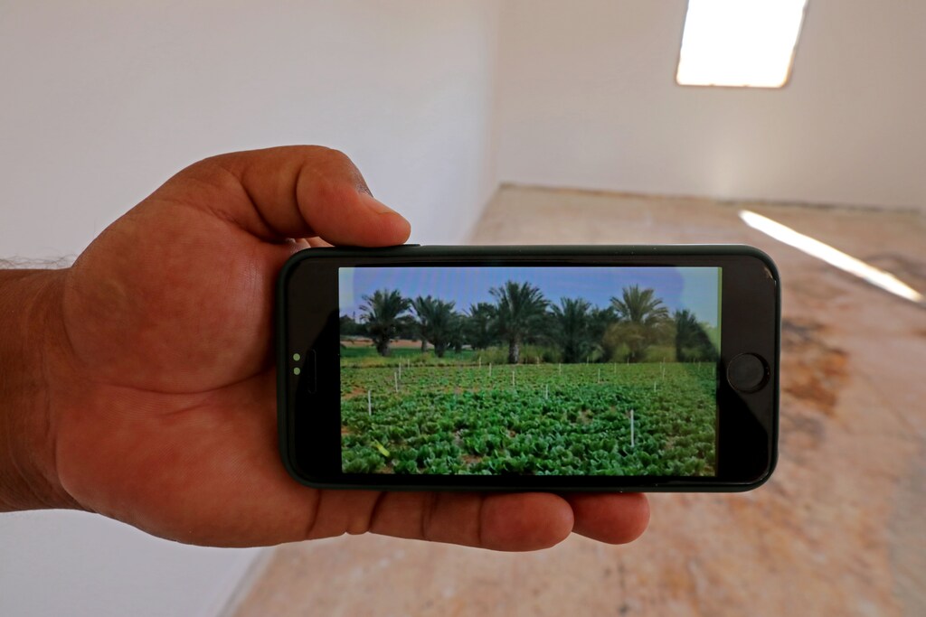 A member of Bouzid family shows a picture on his phone of of their farm, in Ain Zara, Tripoli, Libya, October 28, 2020. Picture taken October 28, 2020. REUTERS/Hazem Ahmed - RC2CSJ9VSCDX