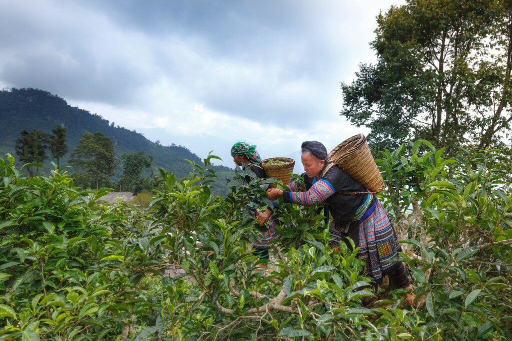 Farmers in China are facing more extreme weather events, such as droughts and floods due to climate change.