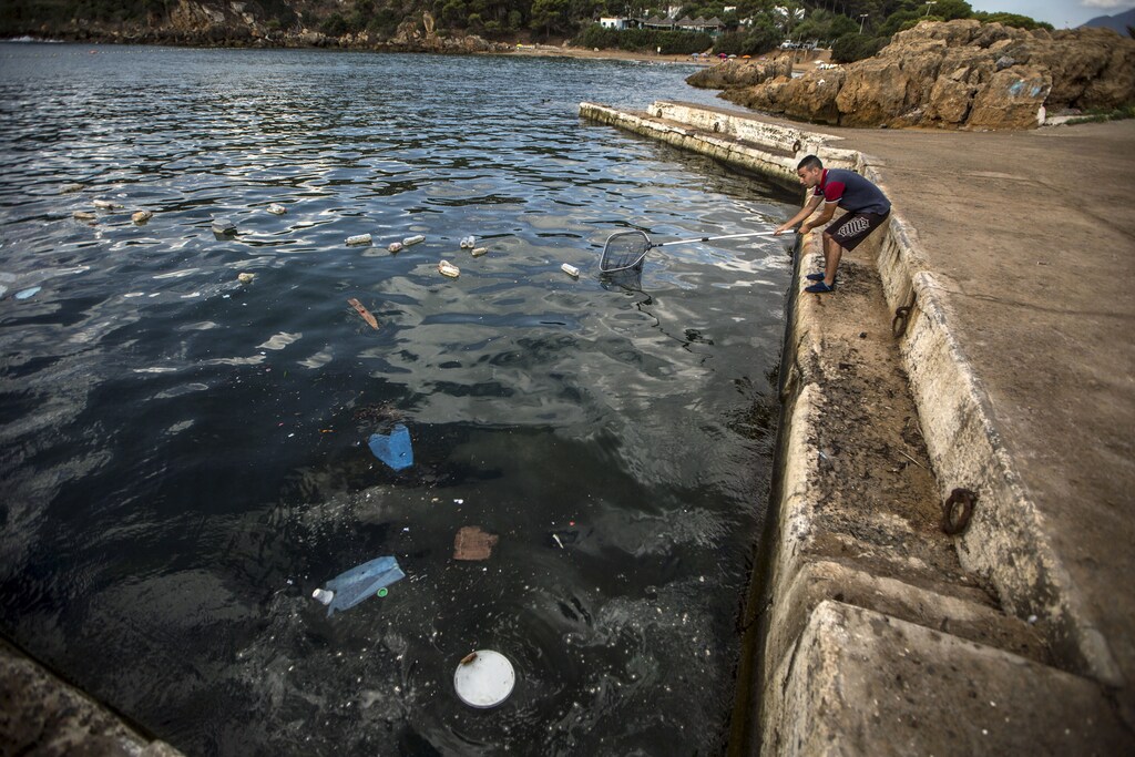 A member of the diving club "Under The Sea", owned by Samia Balistrou (not pictured), collects plastic bottles and other waste from the sea before a scuba training session in Tipaza, Algeria August 16, 2015. Samia, a dive pioneer in Algeria and Africa, owns a diving club called "Under The Sea" and teaches scuba diving. According to local media, Samia was the first woman in North Africa to be a certified Divemaster, and says she has devoted her life to promote environmental awareness. REUTERS/Zohra Bensemra - GF20000021988