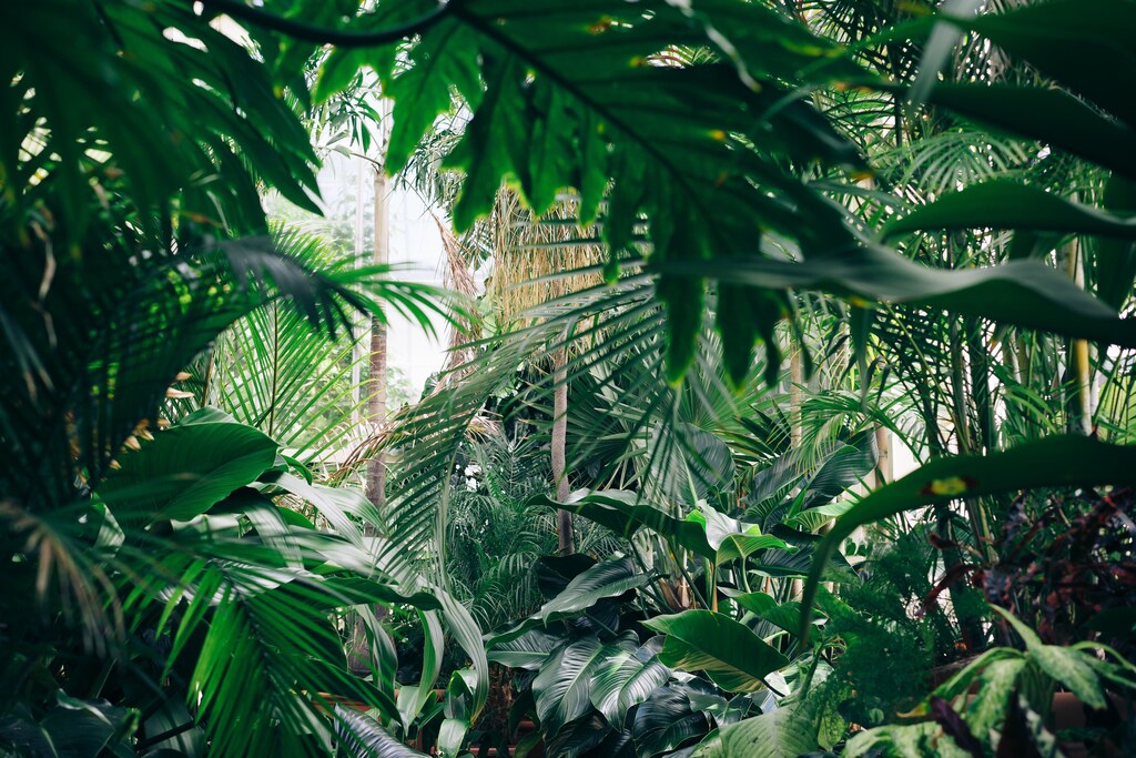 Biogenic CO2 originates with organic matter and is part of the natural carbon cycle where plants absorb CO2 through photosynthesis.