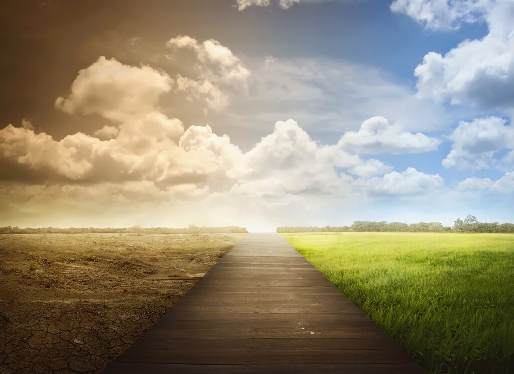 Landscape of wooden pathway with the changing environment; concept of climate change: The Giving to Amplify Earth Action will catalyze greater philanthropic giving for climate action.