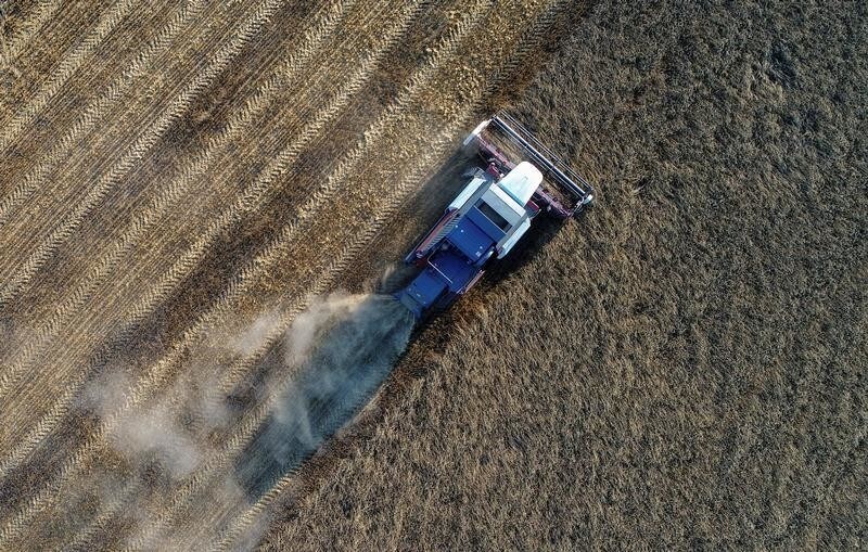 A combine, taken with a drone, harvests wheat in a field of the "Zemlyaki" farm in Krasnoyarsk region, Russia August 26, 2017. Picture taken August 26, 2017. REUTERS/Ilya Naymushin - RC14BCACF860