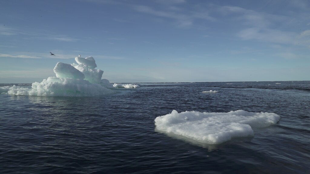 Arctic Ocean Multi-year sea ice global arming climate change Greenland