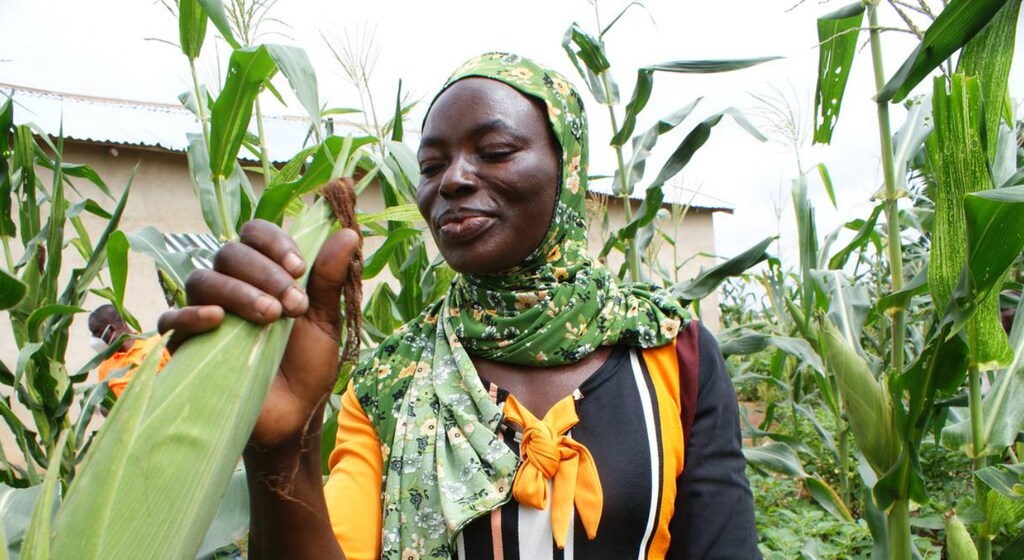 Female farm owner, Adam Fuseina, holds an ear of corn, surrounded by greenery.