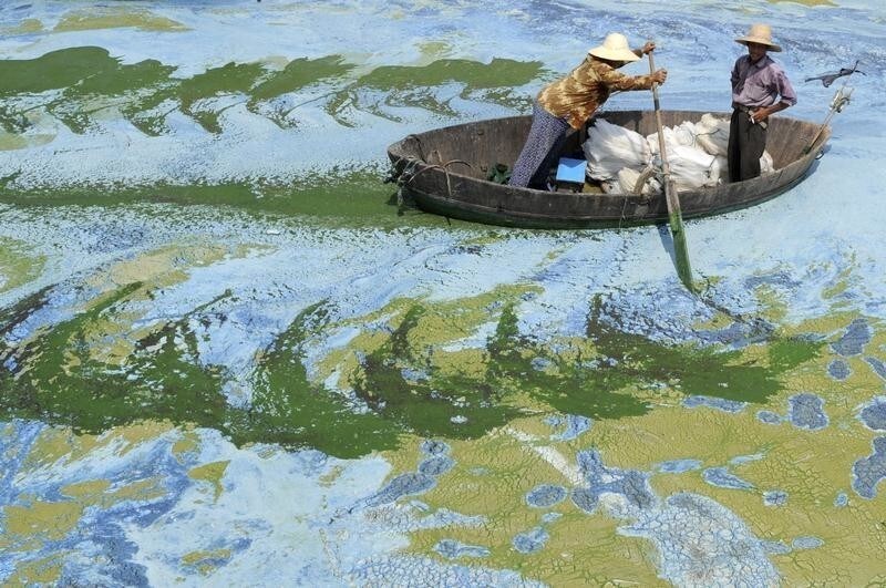 Fishermen row a boat in the algae-filled Chaohu Lake in Hefei, Anhui province, June 19, 2009. The country has invested 51 billion yuan ($7.4 billion) towards the construction of 2,712 projects for the treatment of eight rivers and lakes including Huaihe River, Haihe River, Liaohe River, Chaohu Lake, Dianchi Lake, Songhua River, the Three Gorges region of the Yangtze River and its upstream area, Xinhua News Agency reported. REUTERS/Jianan Yu (CHINA ENVIRONMENT SOCIETY BUSINESS IMAGES OF THE DAY) FOR BEST QUALITY IMAGE ALSO SEE: GM1E57T19EY01 - GM1E56J1D3F01