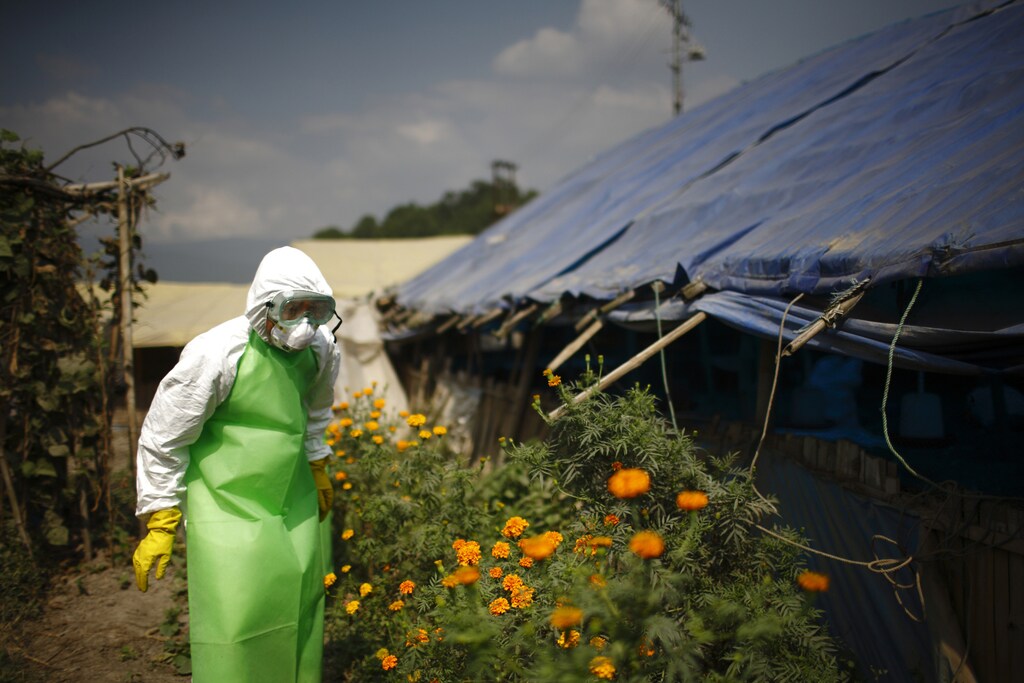 H5N1 is currently the most problematic strain of bird flu, with impacts that extend beyond poultry.