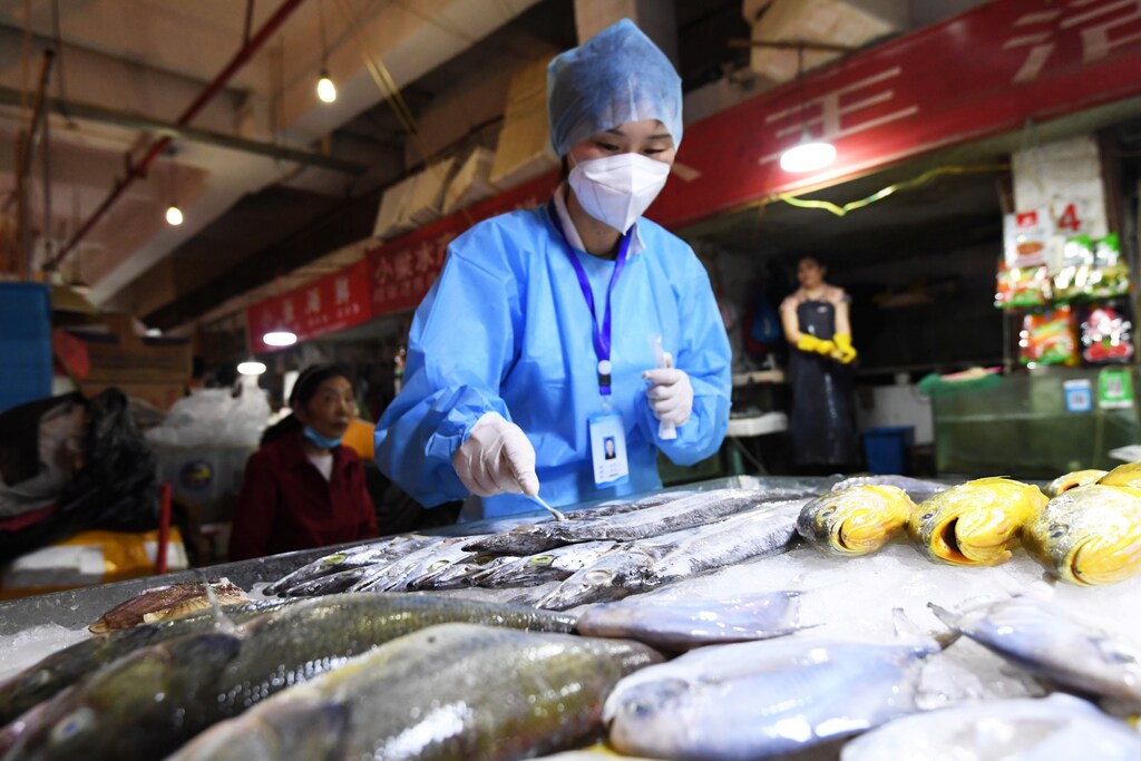 A staff member of Nanming district's Center for Disease Control and Prevention collects a swab from frozen fish for nucleic acid testing following the coronavirus disease (COVID-19) outbreak, at Wandong market in Guiyang, Guizhou province, China July 1, 2020. Picture taken July 1, 2020. cnsphoto via REUTERS ATTENTION EDITORS - THIS IMAGE WAS PROVIDED BY A THIRD PARTY. CHINA OUT. - RC2HLH9NR80A