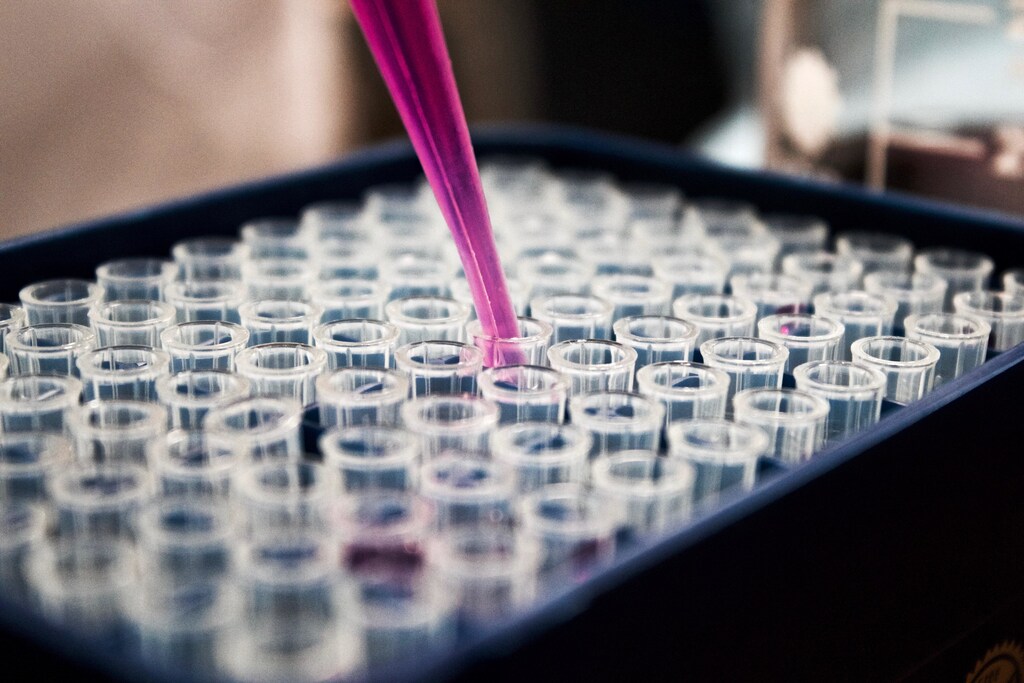 scientific research being carried out in a laboratory