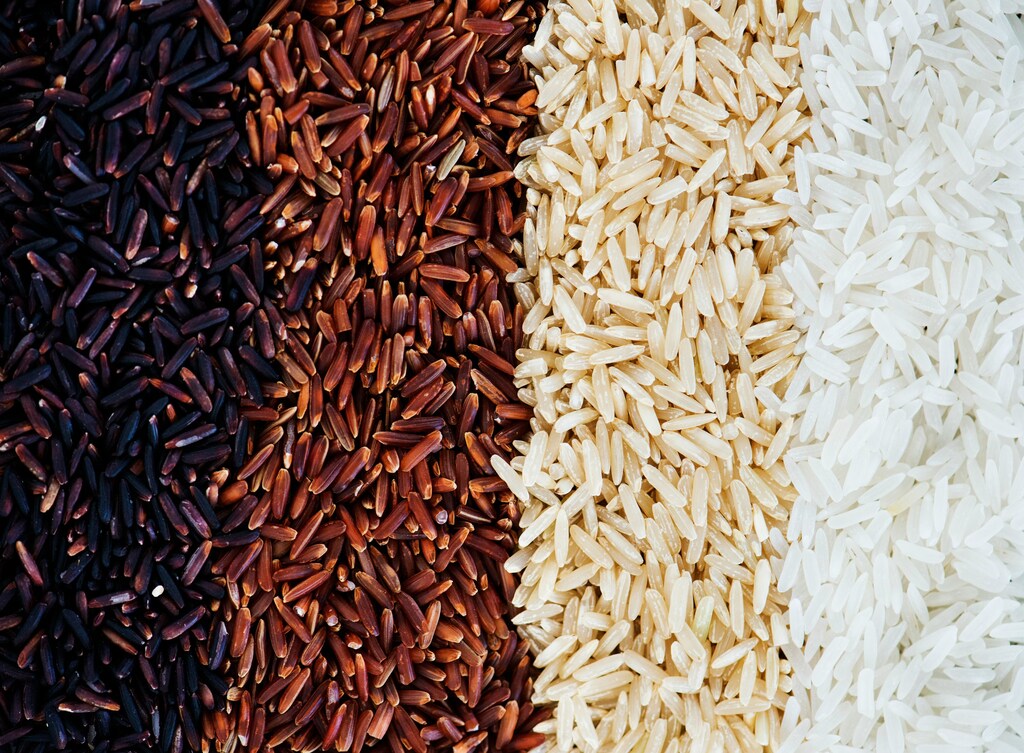 Cuatro tipos diferentes de granos de arroz negro, integral y blanco. El arroz es el alimento básico más importante del mundo y su demanda está aumentando.