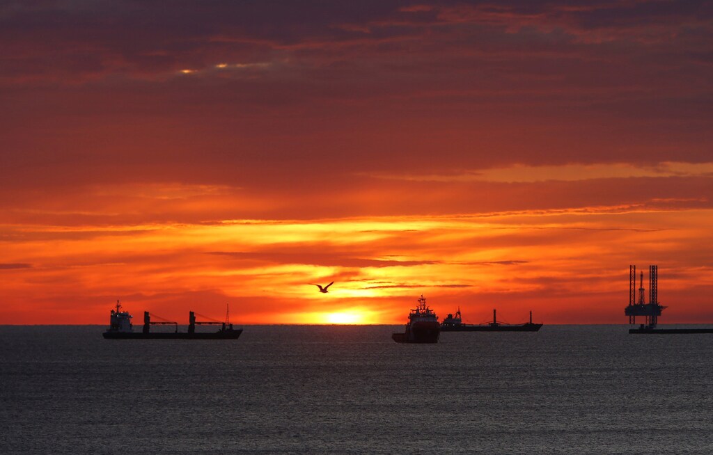 A seagull flies by as cargo ships and an offshore supply vessel lie at anchor at sunrise off Sousse, Tunisia February 14, 2018. Picture taken February 14, 2018. REUTERS/Darrin Zammit Lupi - RC1D9A6296F0
