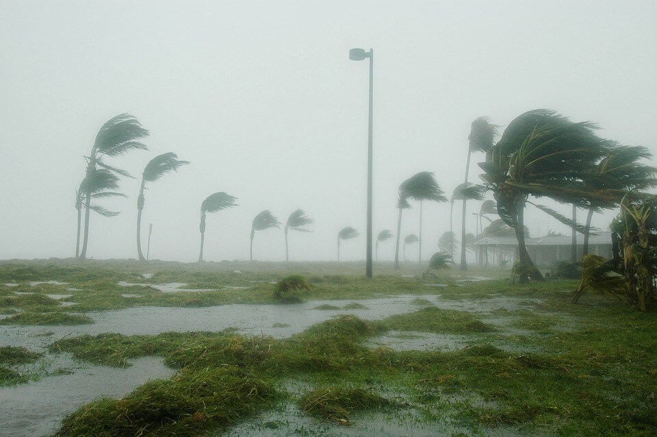 Hurricane winds in Florida
