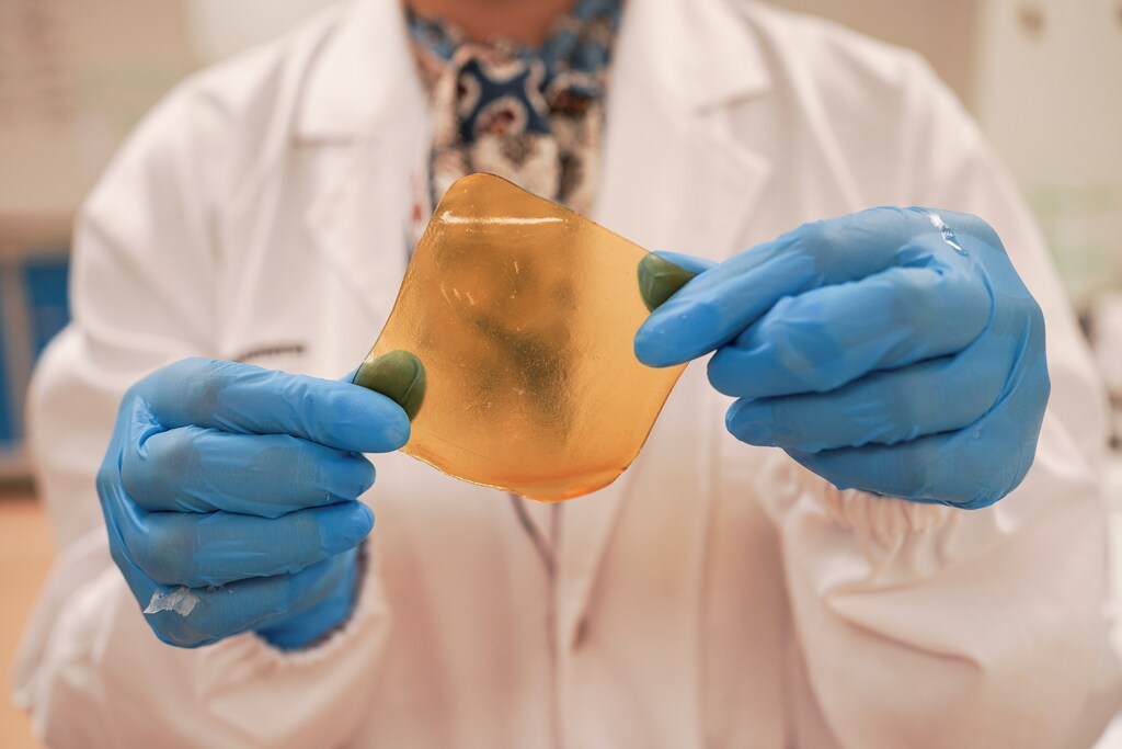 A researcher holds a hydrogel sheet made out of durian husk with yeast phenolics in Singapore September 16, 2021. Picture taken September 16, 2021. REUTERS/Lee Ying Shan - RC2VQP908K2L