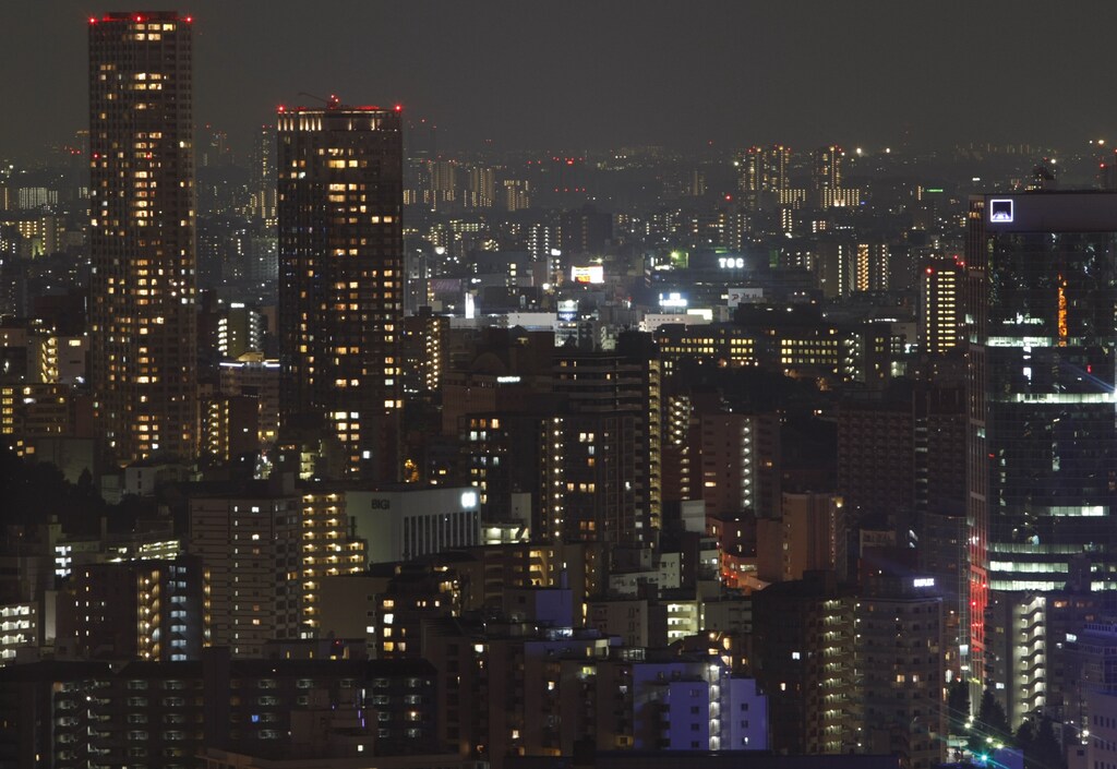 Tokyo's skyscrapers are seen from a viewing deck of Tokyo Tower July 5, 2009. REUTERS/Issei Kato (JAPAN CITYSCAPE SOCIETY) - RTR25C5F
