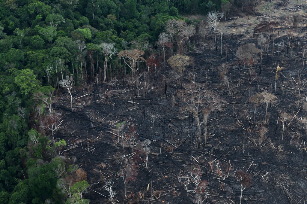 An aerial view of a tract of Amazon jungle after it was cleared by farmers in Itaituba, Para, Brazil September 26, 2019. Picture taken September 26, 2019. REUTERS/Ricardo Moraes - RC2WDD9MVRJP