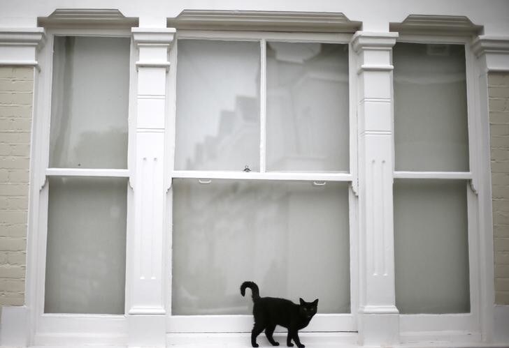 A black kitten waits to be let back into its home in Wimbledon, south west London July 30, 2013. Property prices are rising at their fastest pace in three years, according to Nationwide, a building society. In London, the best-performing region, prices are already 5 percent above their 2007 peak. Photograph taken on July 30, 2013. REUTERS/Andrew Winning