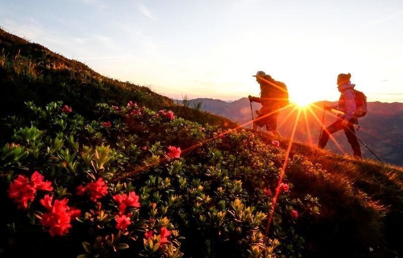 A couple hikes during sunrise on Kreuzjoch mountain in the Zillertal Alps in Schwendau, Austria July 11, 2016.