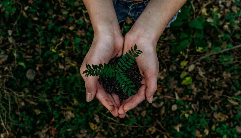 Empleos verdes: Trabajadores de todos los niveles educativos están cultivando sus habilidades verdes.