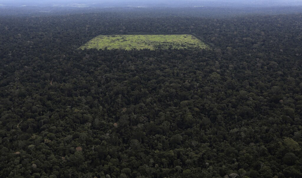 An aerial view shows a tract of Amazon rainforest which has been cleared by loggers and farmers for agriculture, near the city of Santarem, Para State April 20, 2013. The Amazon rainforest is being eaten away at by deforestation, much of which takes place as areas are burnt by large fires to clear land for agriculture. Initial data from Brazil's space agency suggests that destruction of the vast rainforest - the largest in the world - spiked by more than a third over the past year, wiping out an area more than twice the size of the city of Los Angeles. If the figures are borne out by follow-up data, they would confirm fears of scientists and environmental activists who warn that farming, mining and Amazon infrastructure projects, coupled with changes to Brazil's long-standing environmental policies, are reversing progress made against deforestation. Environmental issues will be under the spotlight as a United Nations Climate Change Conference opens in Warsaw, Poland, on November 11. Picture taken on April 20, 2013. REUTERS/Nacho Doce (BRAZIL - Tags: AGRICULTURE POLITICS ENVIRONMENT) ATTENTION EDITORS: PICTURE 02 OF 55 FOR PACKAGE 'AMAZON - FROM PARADISE TO INFERNO' TO FIND ALL IMAGES SEARCH 'AMAZON INFERNO' - RTX158ZG