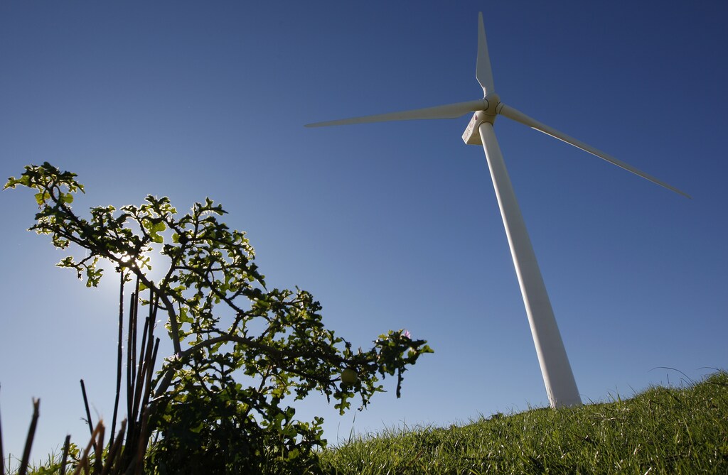 Giant wind turbines dot the landscape at the Darling Wind Power national demonstration project near Cape Town July 17, 2009.