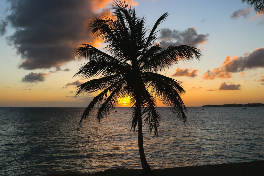 New solutions such as artificial intelligence (AI) applications for climate resilience are especially promising in Barbados.
