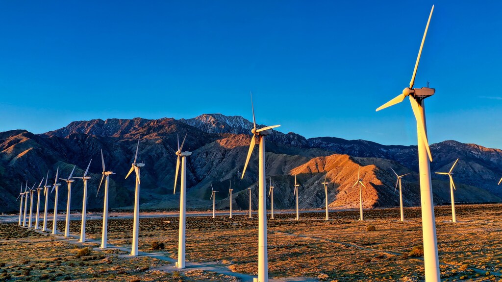 climate change action