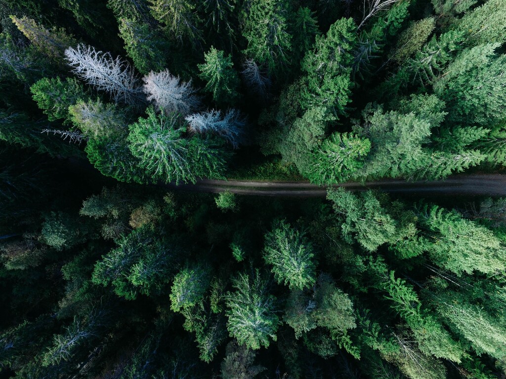 New models are addressing debt and climate finance challenges, including some that explicitly link sovereign debt issuance and refinancing to a country’s environmental performance.