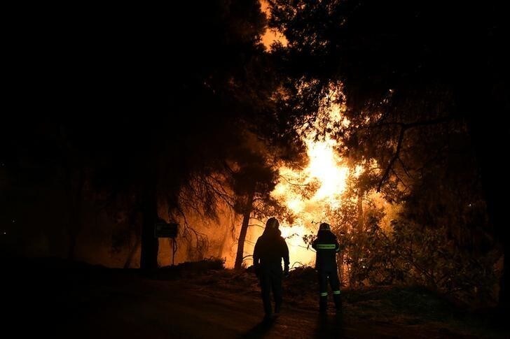 Firefighters looks at rising flames during a wildfire near the village of Psahna, in Evia, Greece, August 12, 2018. Picture taken August 12, 2018. REUTERS/Michalis Karagiannis