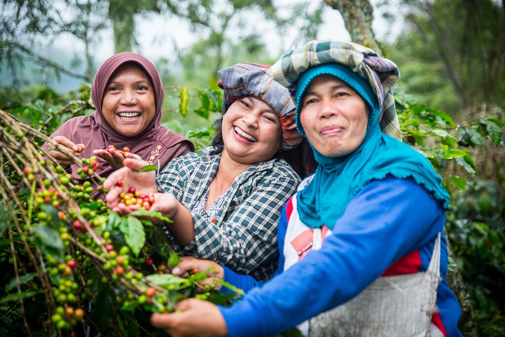 These photos of three women at the Kopepi Ketiara Cooperative, were taken by Blake Dunlop on a 2015 trip to the Takengon region of Sumatra, Indonesia.