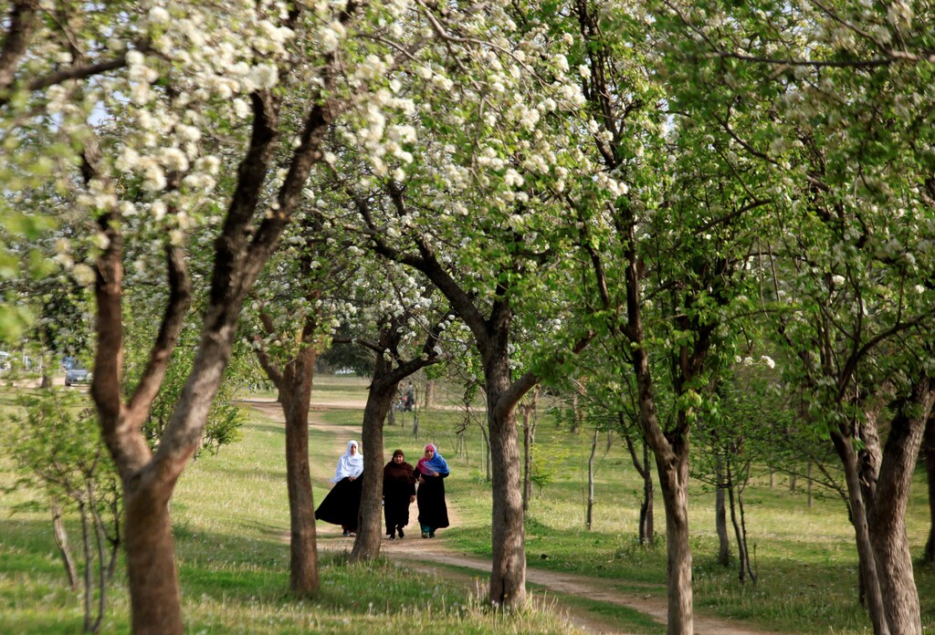 Women walk along flowering and blossoming trees along a roadside in Islamabad, Pakistan March 15, 2018. REUTERS/Faisal Mahmood - RC1D3CE6BFC0