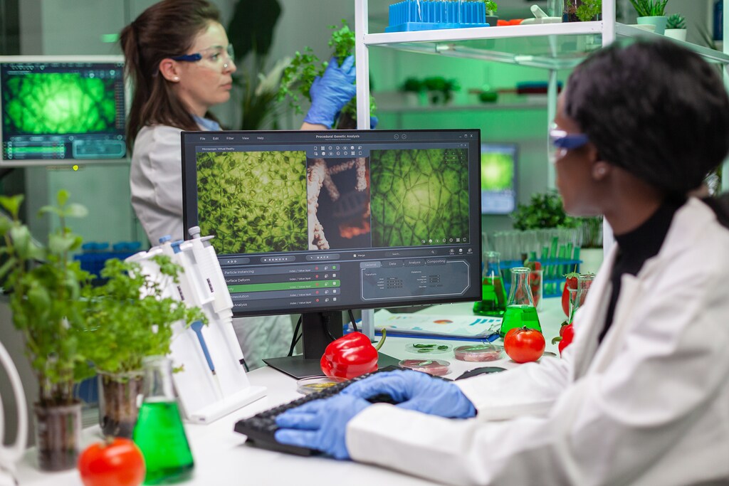 Biologist researcher typing gmo expertise on computer for scientific microbiology experiment. Medical team working with food and organic fruit discovering genetic mutation in farming laboratory.
