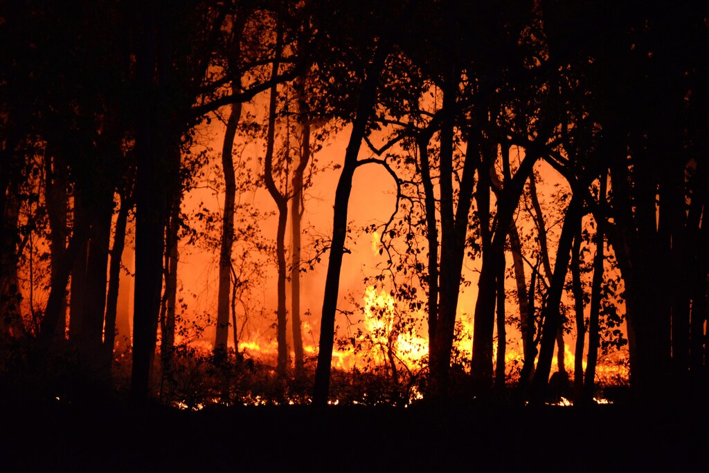 Wildfire smoke can be harmful to your health, especially for people with respiratory problems.