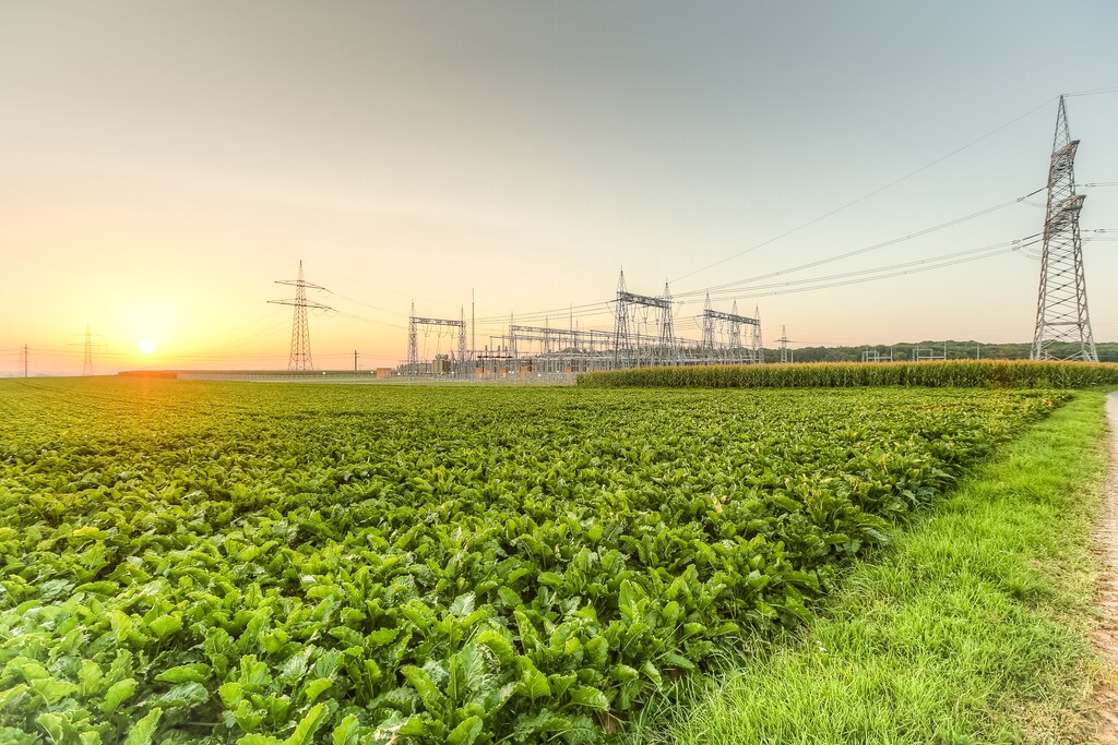 The energy transition is not one-size-fits-all across all world regions.